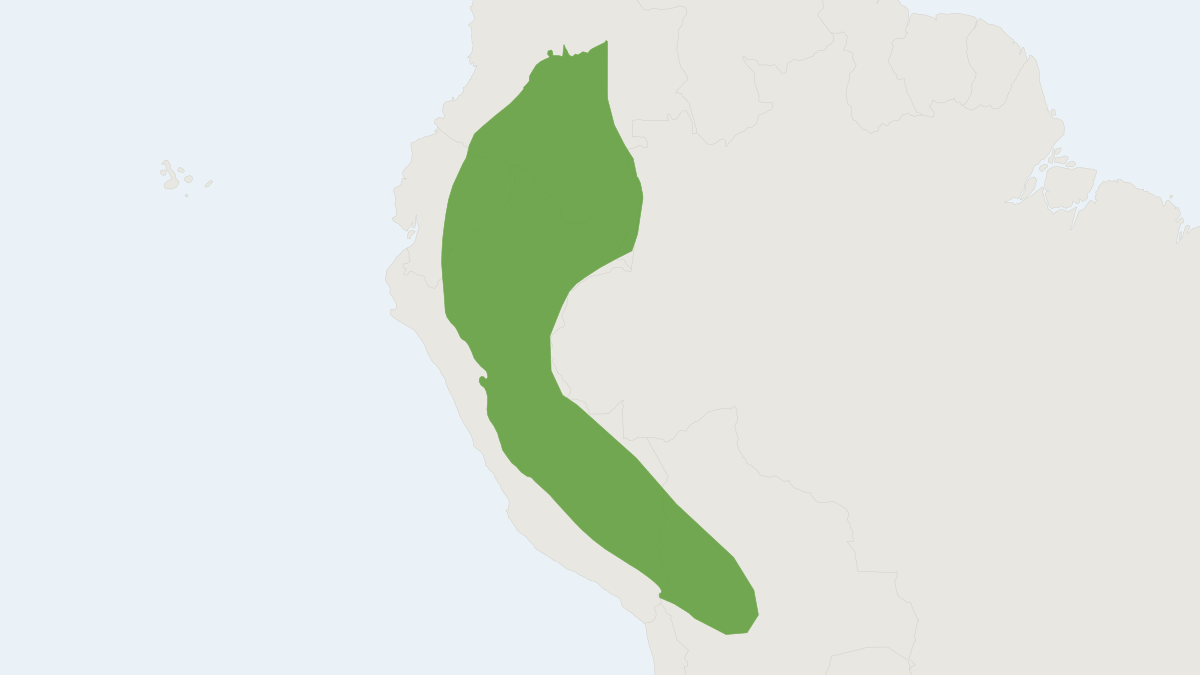 Range map of the Greater Yellow-shouldered Bat (Sturnira magna)
