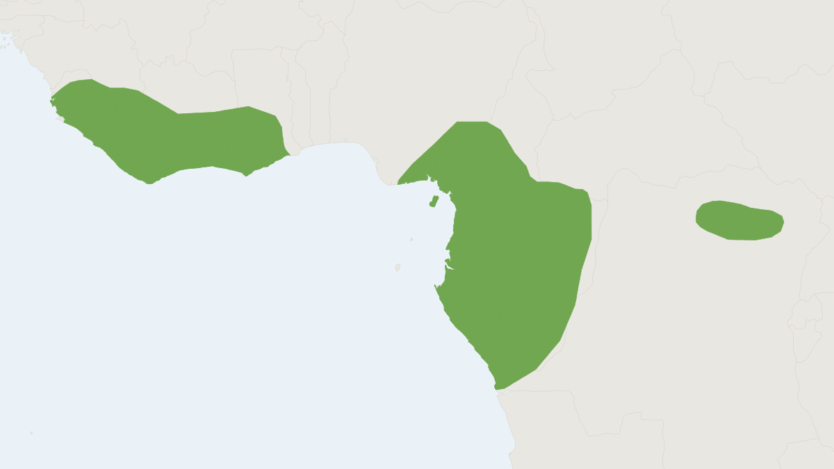 Range map of the Green Bush Squirrel (Paraxerus poensis)