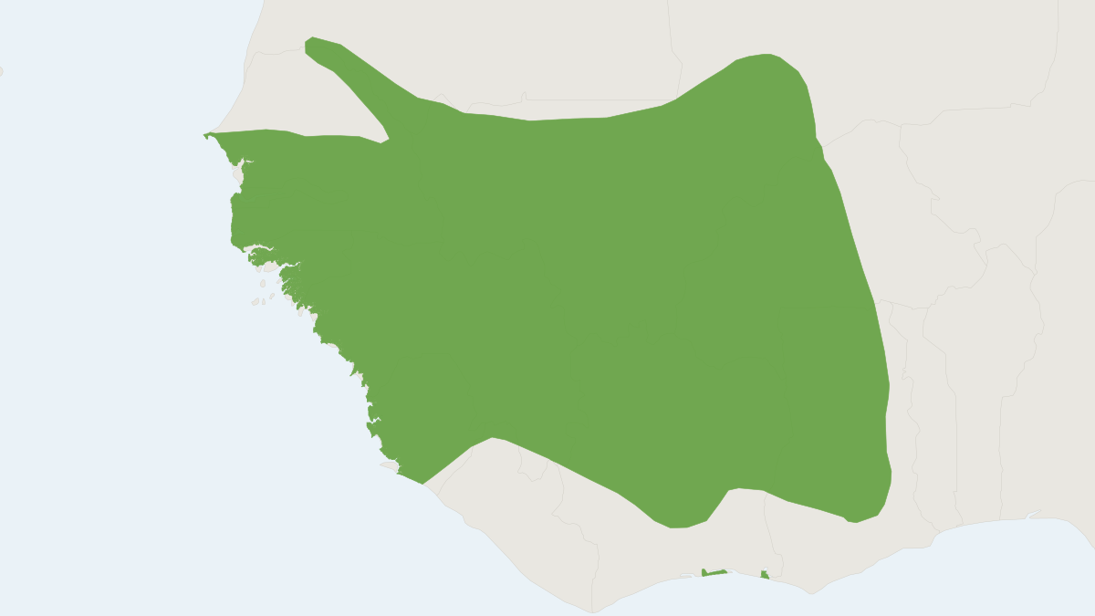 Range map of the Green Monkey (Chlorocebus sabaeus)