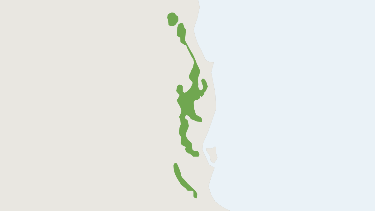 Range map of the Green Ringtail Possum (Pseudochirops archeri)