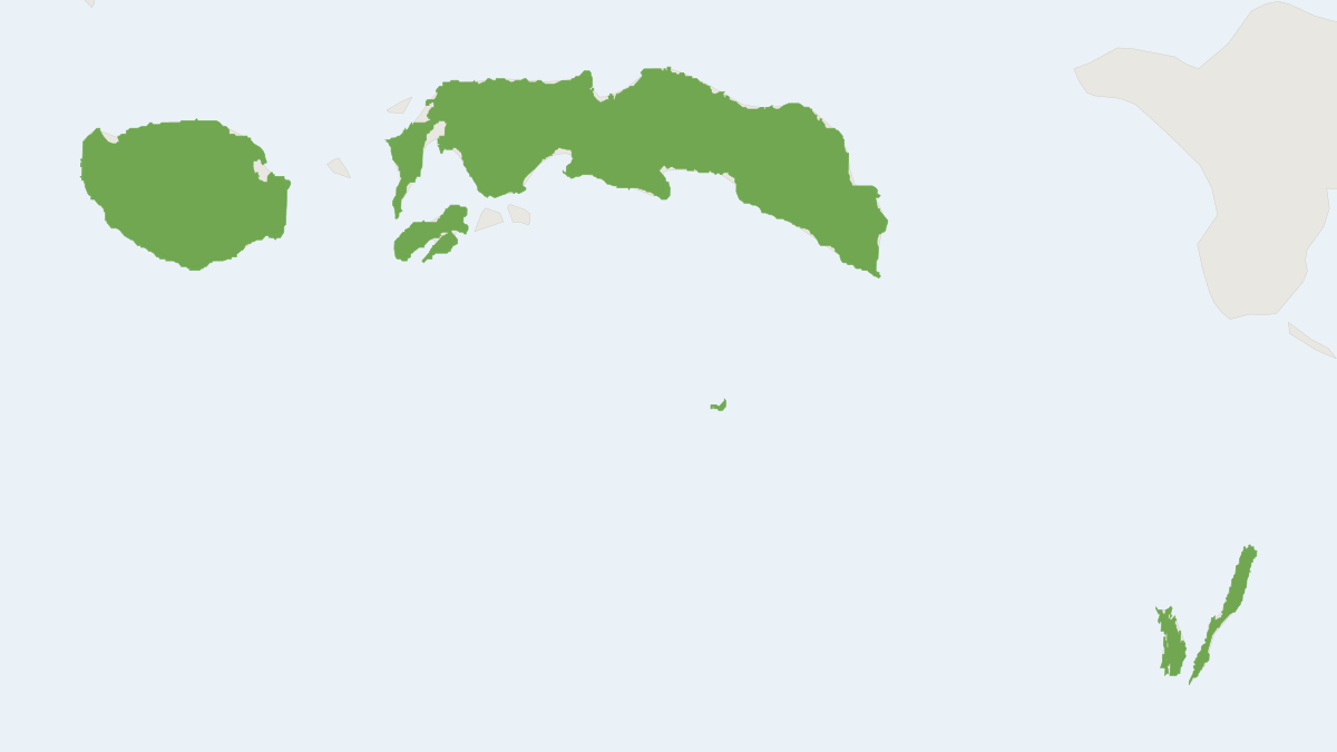 Range map of the Greenish Naked-backed Fruit Bat (Dobsonia viridis)