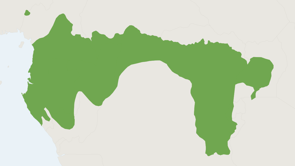 Range map of the Grey-cheeked Mangabey (Lophocebus albigena)