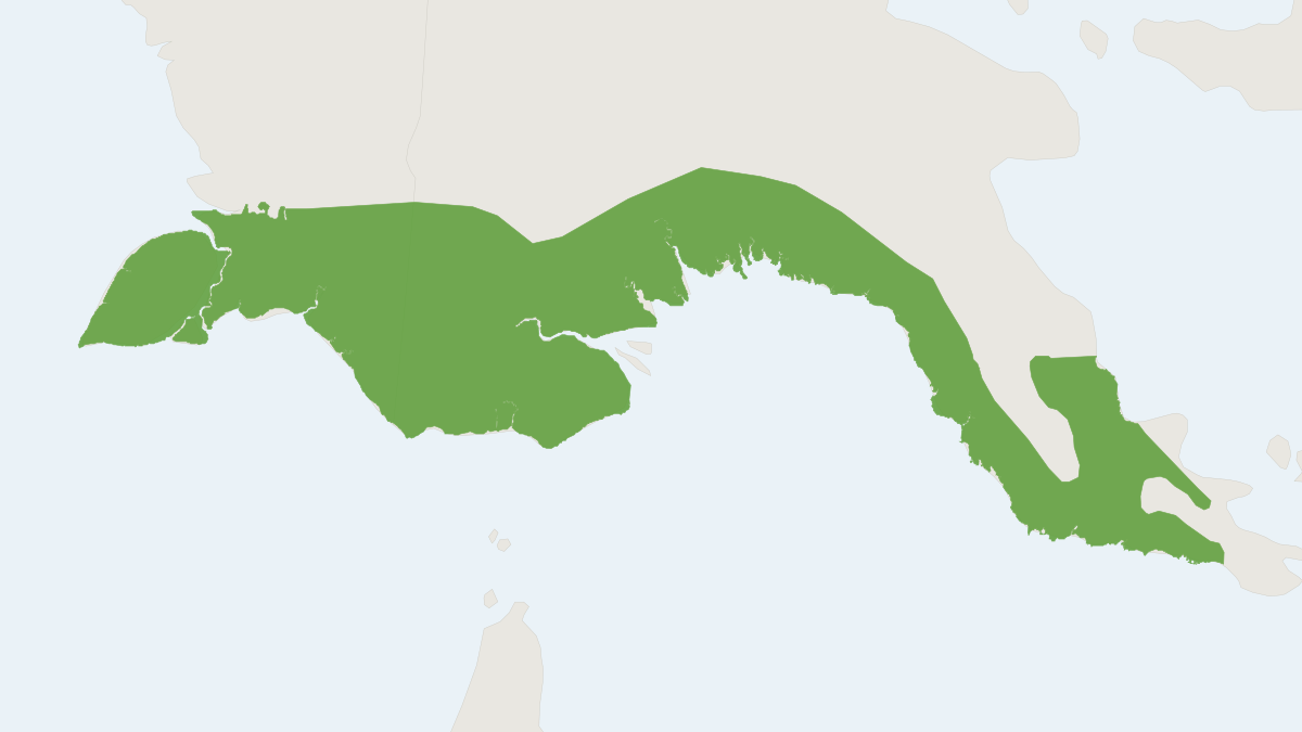 Range map of the Grey Dorcopsis (Dorcopsis luctuosa)