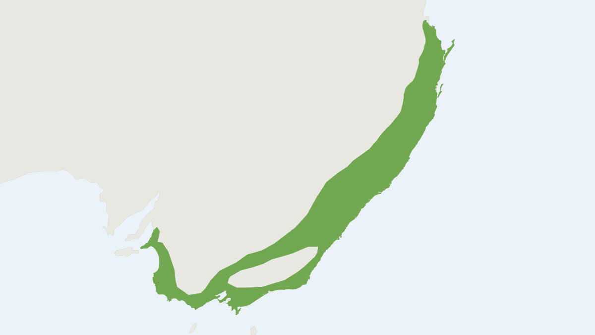Range map of the Grey-headed Flying Fox (Pteropus poliocephalus)