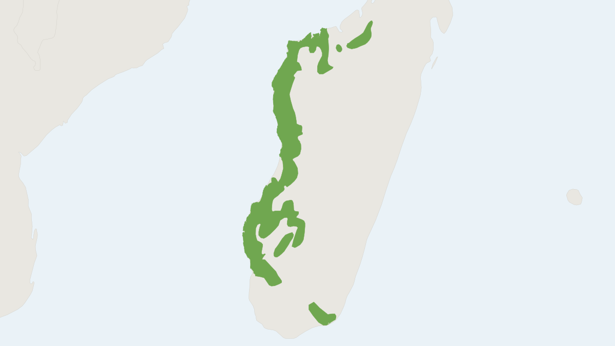 Range map of the Grey Mouse Lemur (Microcebus murinus)