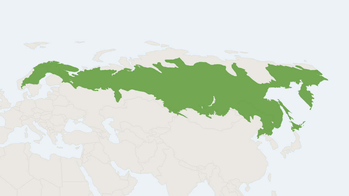 Range map of the Grey Red-backed Vole (Craseomys rufocanus) covering China, Japan and Mongolia
