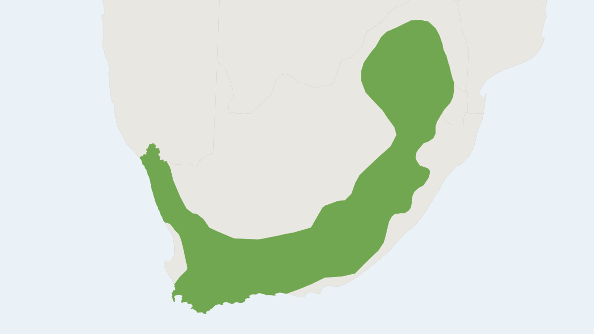 Range map of the Grey Rhebok (Pelea capreolus)