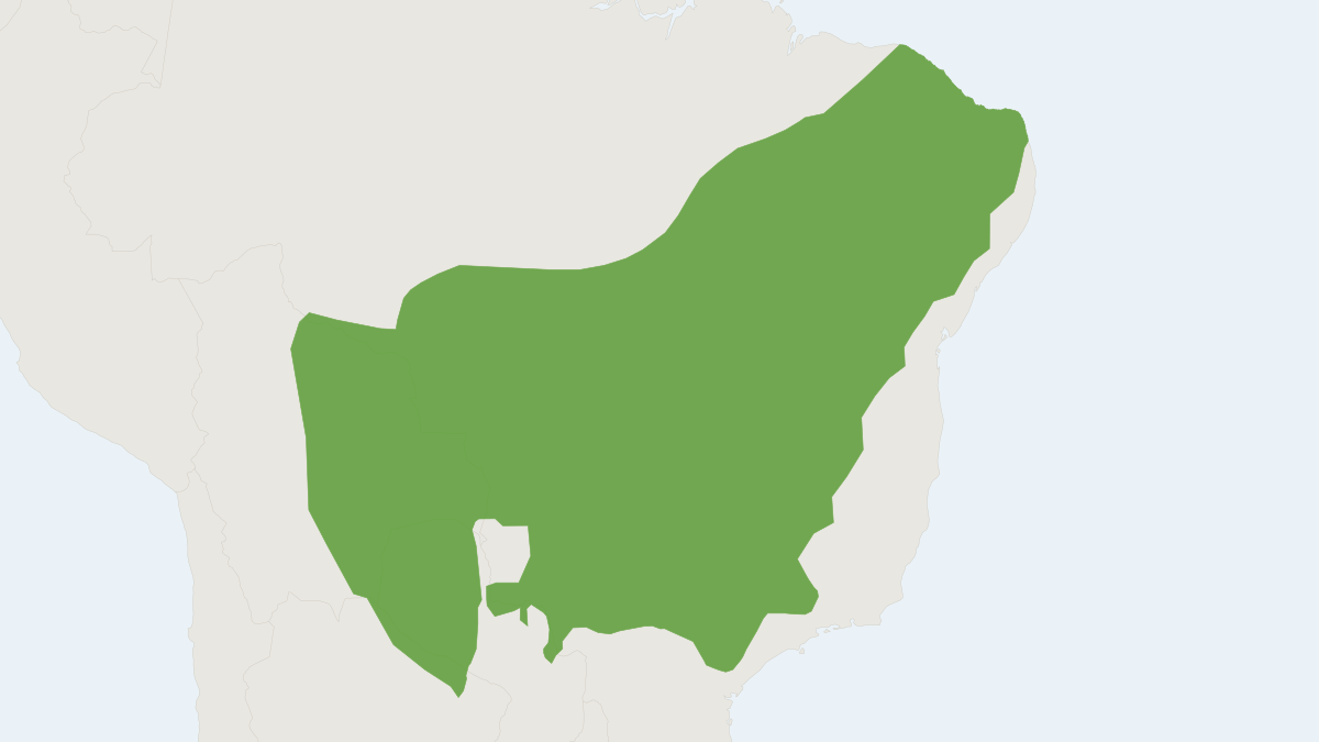 Range map of the Grey Short-tailed Opossum (Monodelphis domestica)