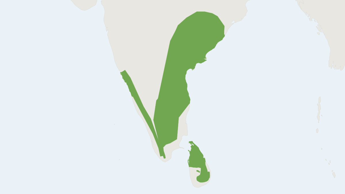 Range map of the Grey Slender Loris (Loris lydekkerianus)