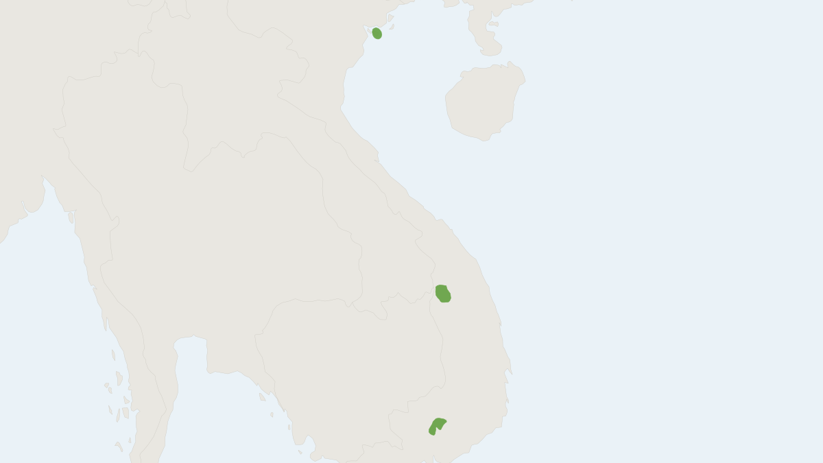 Range map of the Griffin's Leaf-nosed Bat (Hipposideros griffini)