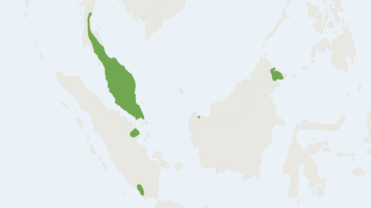 Range map of the Groove-toothed Trumpet-eared Bat (Phoniscus atrox)