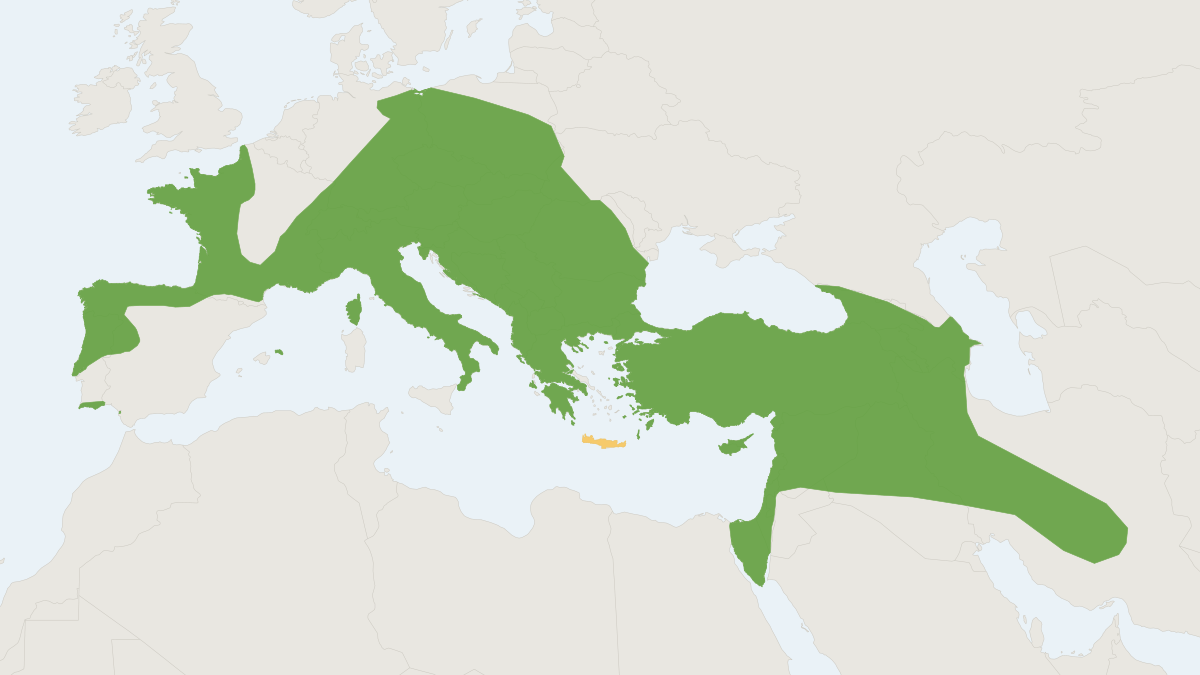 Range map of the Gueldenstädt's Shrew (Crocidura gueldenstaedtii)