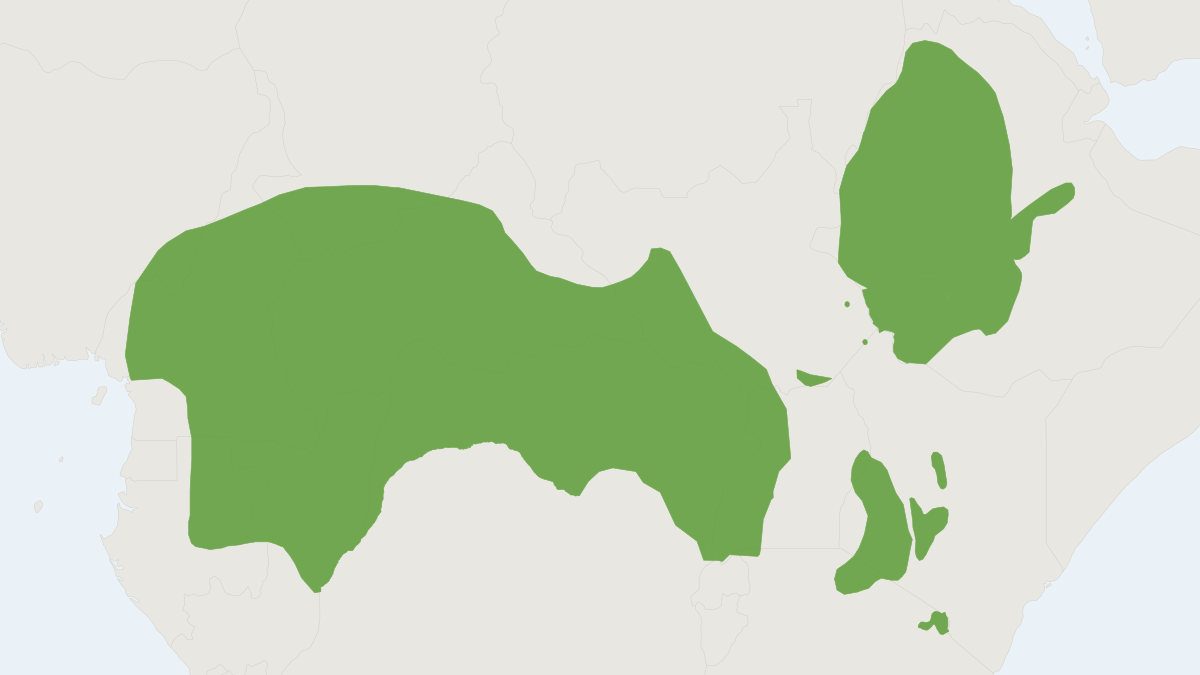 Range map of the Guereza (Colobus guereza) covering Cameroon, Central African Republic and Democratic Republic of the Congo