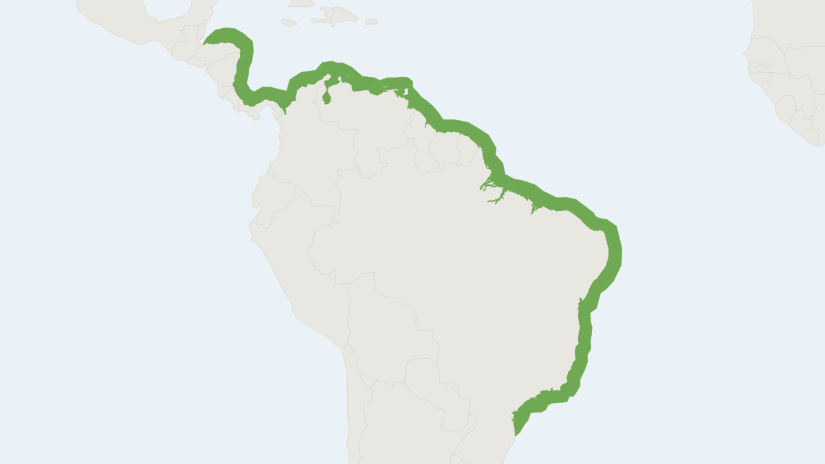 Range map of the Guiana Dolphin (Sotalia guianensis)