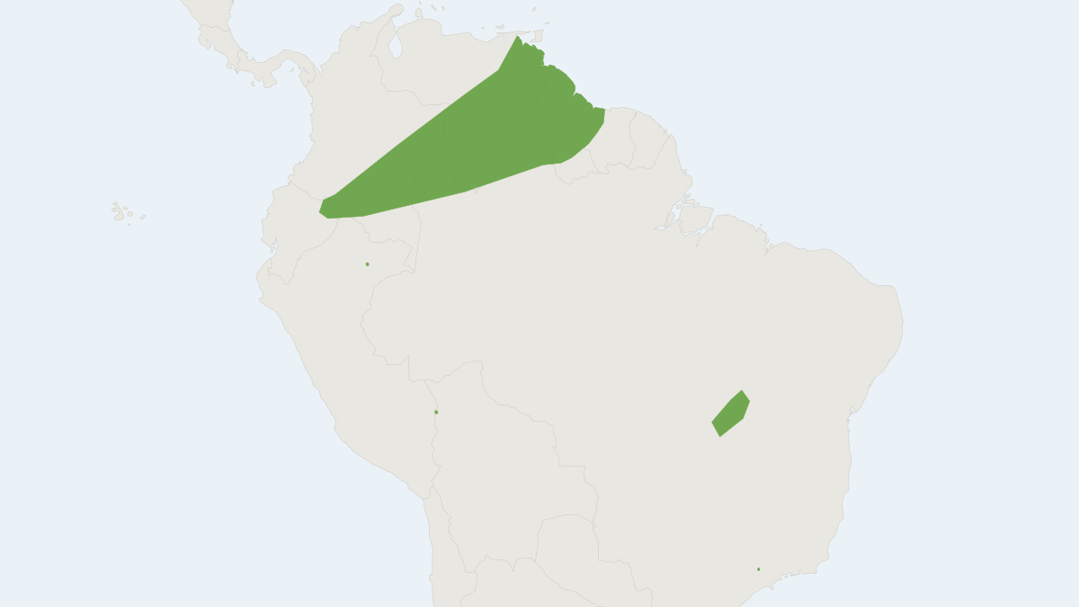 Range map of the Guianan Bonneted Bat (Eumops maurus)