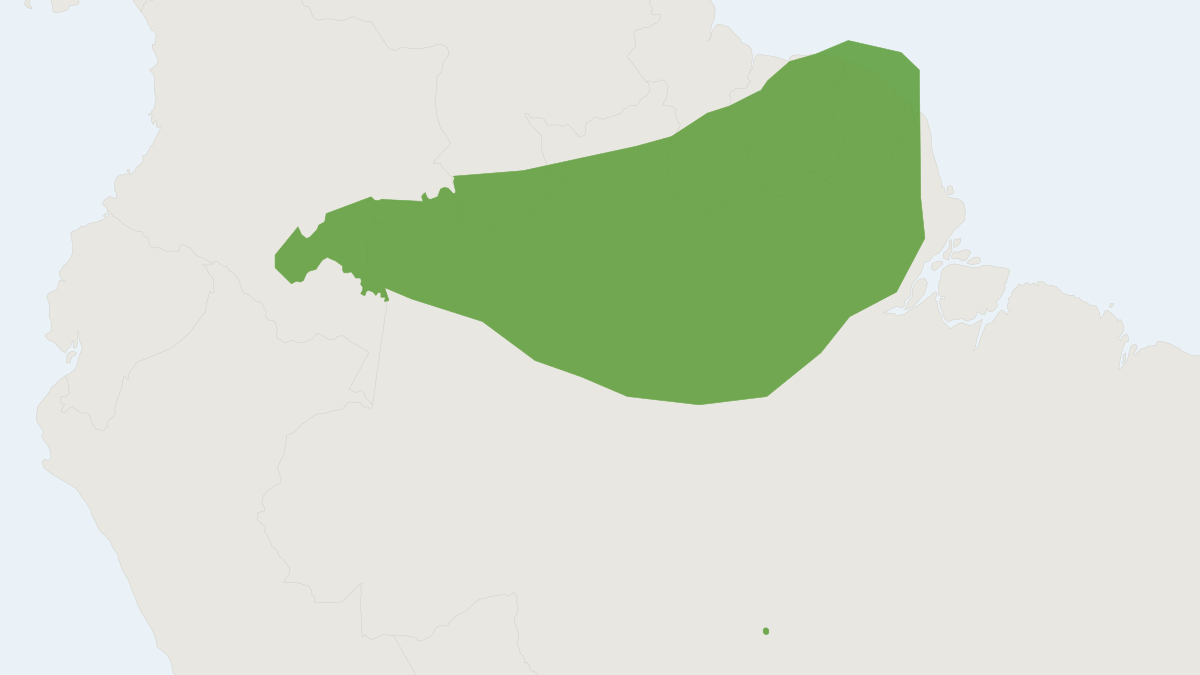 Range map of the Guianan Spear-nosed Bat (Phyllostomus latifolius)