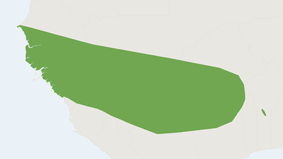 Range map of the Guinea Gerbil (Gerbilliscus guineae)