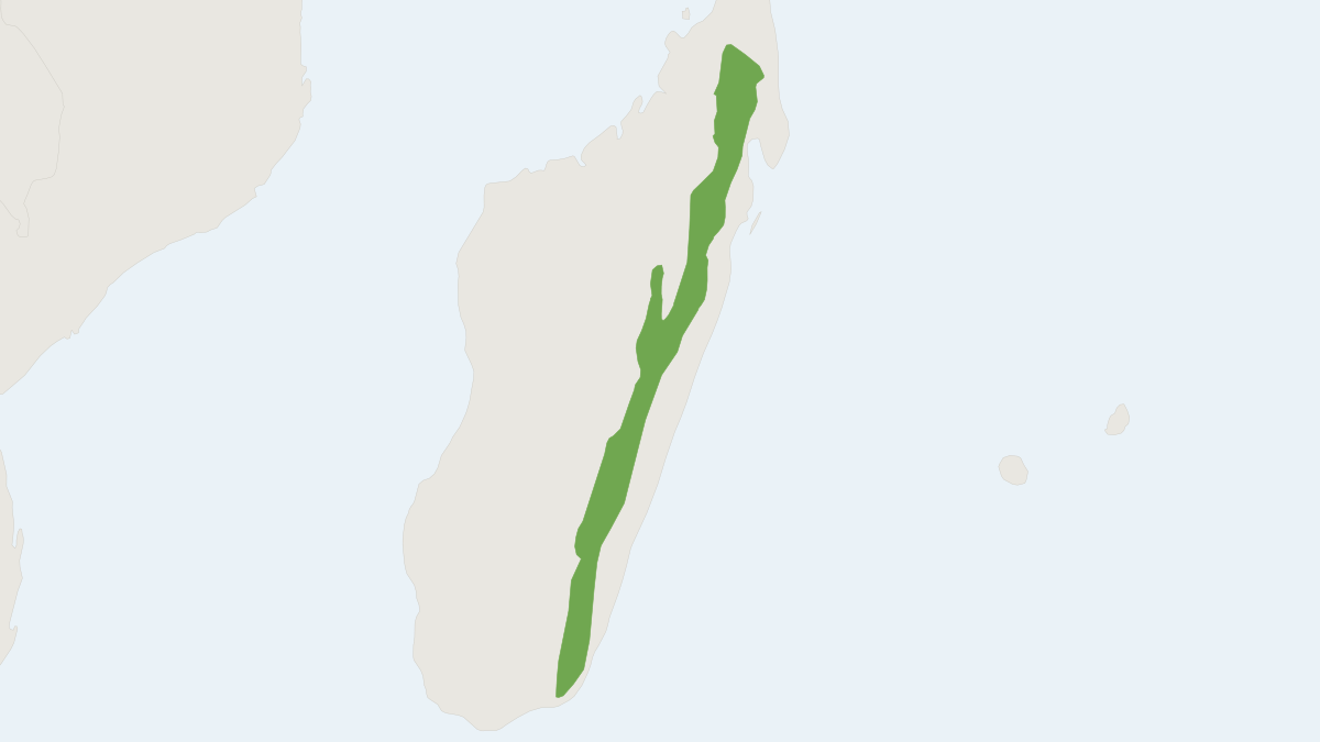 Range map of the Gymnuromys roberti (Gymnuromys roberti)