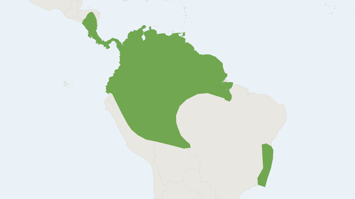 Range map of the Hairy Big-eared Bat (Micronycteris hirsuta)
