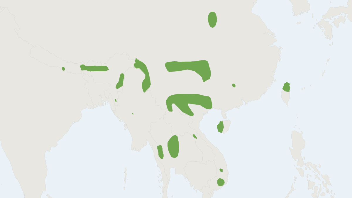 Range map of the Hairy-footed Flying Squirrel (Belomys pearsonii) covering Bhutan, China and India