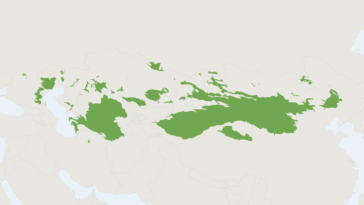Range map of the Hairy-footed Jerboa (Dipus sagitta)
