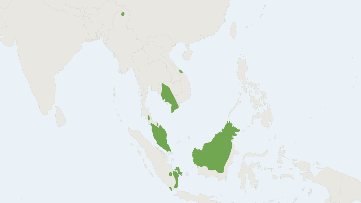 Range map of the Hairy-nosed Otter (Lutra sumatrana)