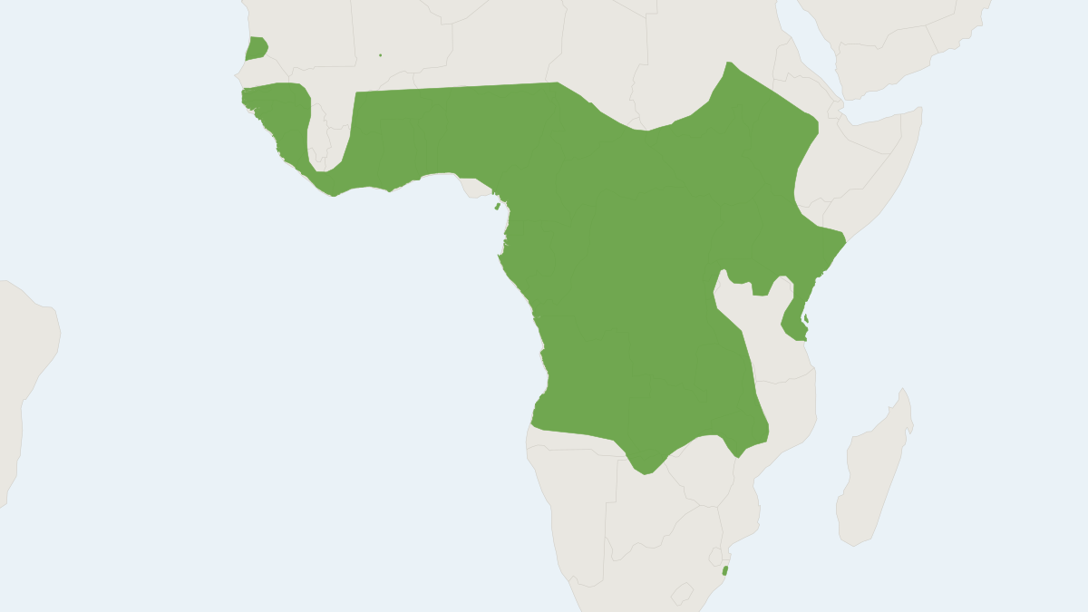 Range map of the Hairy Slit-faced Bat (Nycteris hispida)