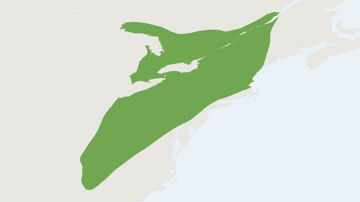 Range map of the Hairy-tailed Mole (Parascalops breweri)