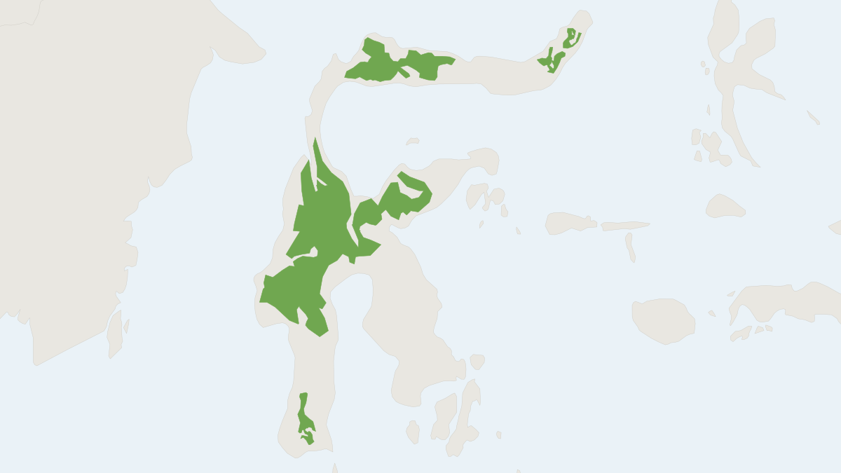 Range map of the Hairy-tailed White-toothed Shrew (Crocidura caudipilosa)