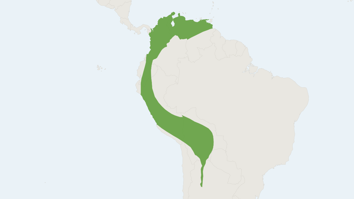 Range map of the Hairy Yellow-shouldered Bat (Sturnira erythromos)