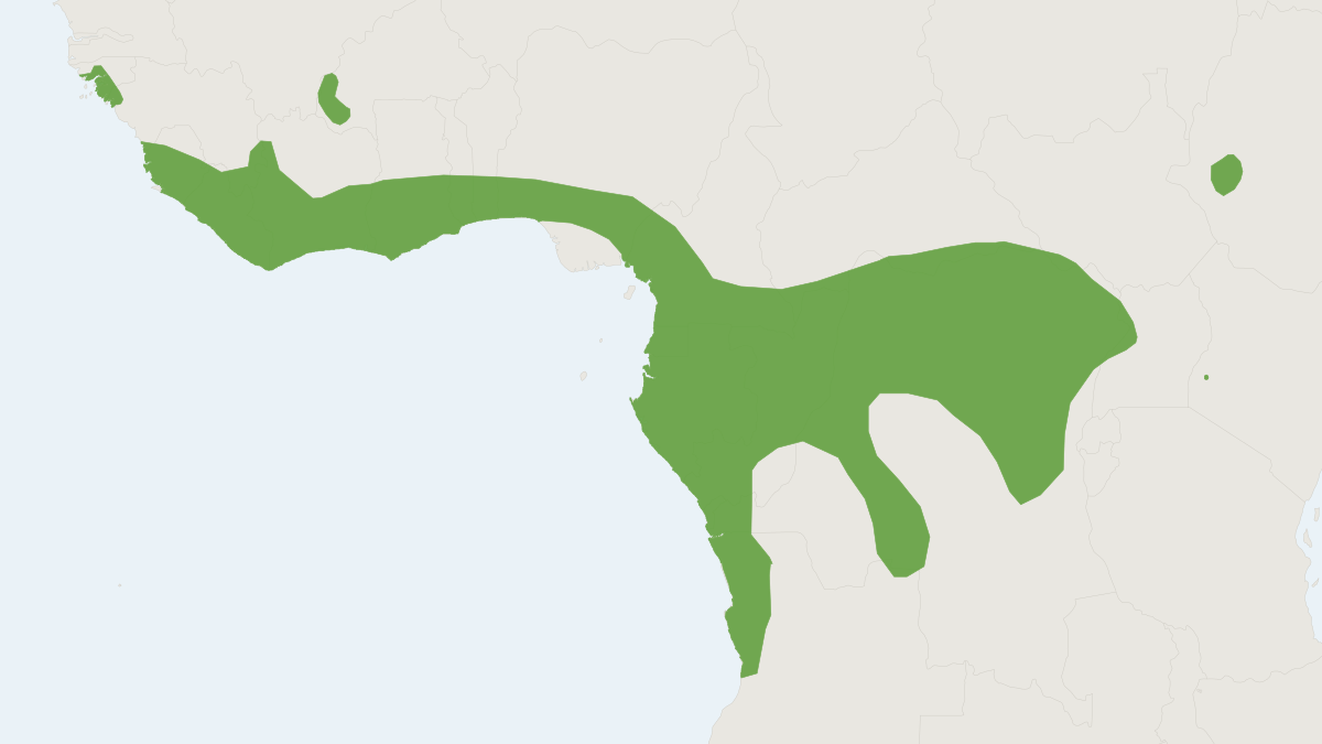 Range map of the Hammer-headed Fruit Bat (Hypsignathus monstrosus)
