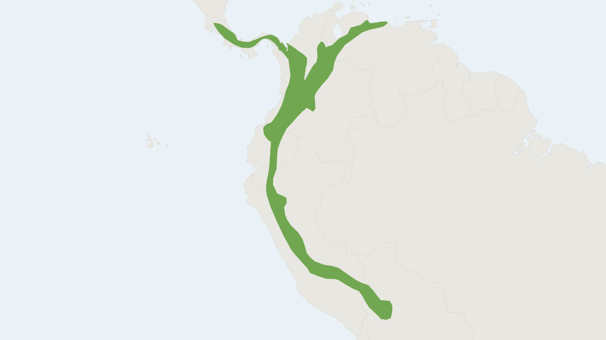 Range map of the Handley's Tailless Bat (Anoura cultrata) covering Bolivia, Colombia and Ecuador