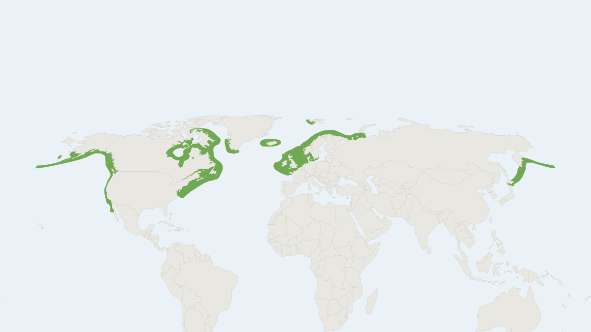 Range map of the Harbour Seal (Phoca vitulina) covering Canada, Germany and Greenland