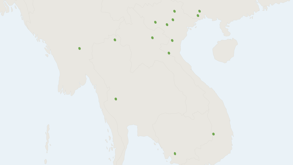 Range map of the Harrison's Murine Bat (Murina harrisoni)