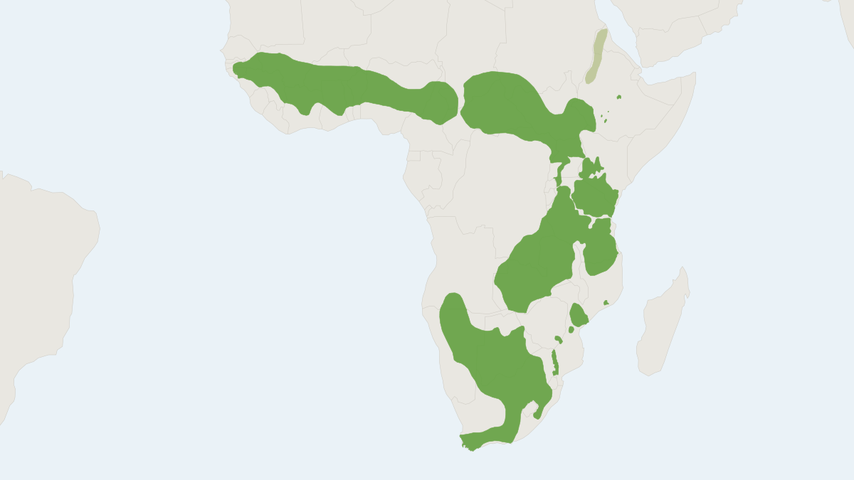 Range map of the Hartebeest (Alcelaphus buselaphus) covering Botswana, Burkina Faso and Chad