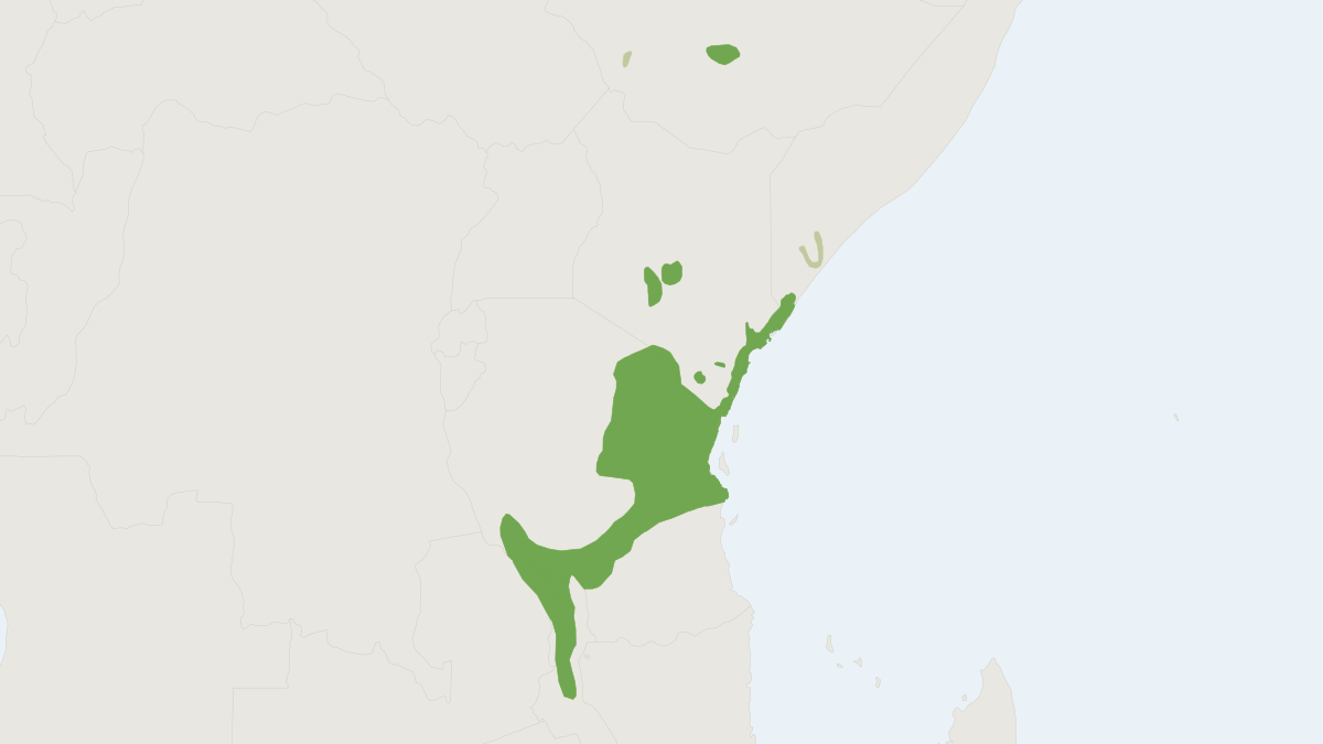 Range map of the Harvey's Duiker (Cephalophus harveyi) covering Kenya, Malawi and Tanzania