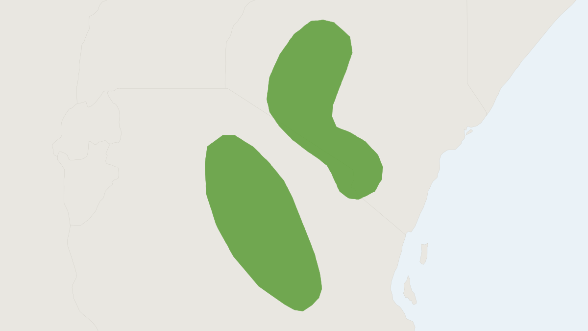 Range map of the Harwood's Gerbil (Gerbillus harwoodi)