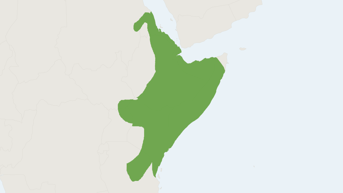 Range map of the Heart-nosed Bat (Cardioderma cor) covering Ethiopia, Kenya and Somalia