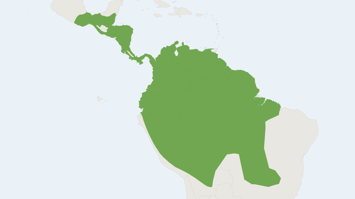 Range map of the Heller's Broad-nosed Bat (Platyrrhinus helleri)