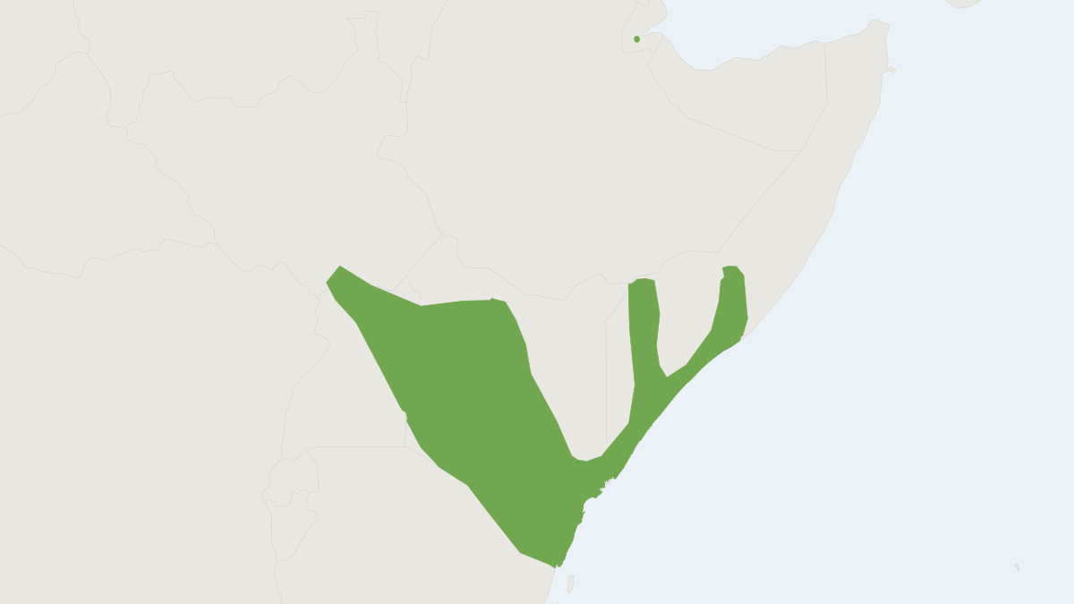 Range map of the Heller's Serotine (Afronycteris helios)