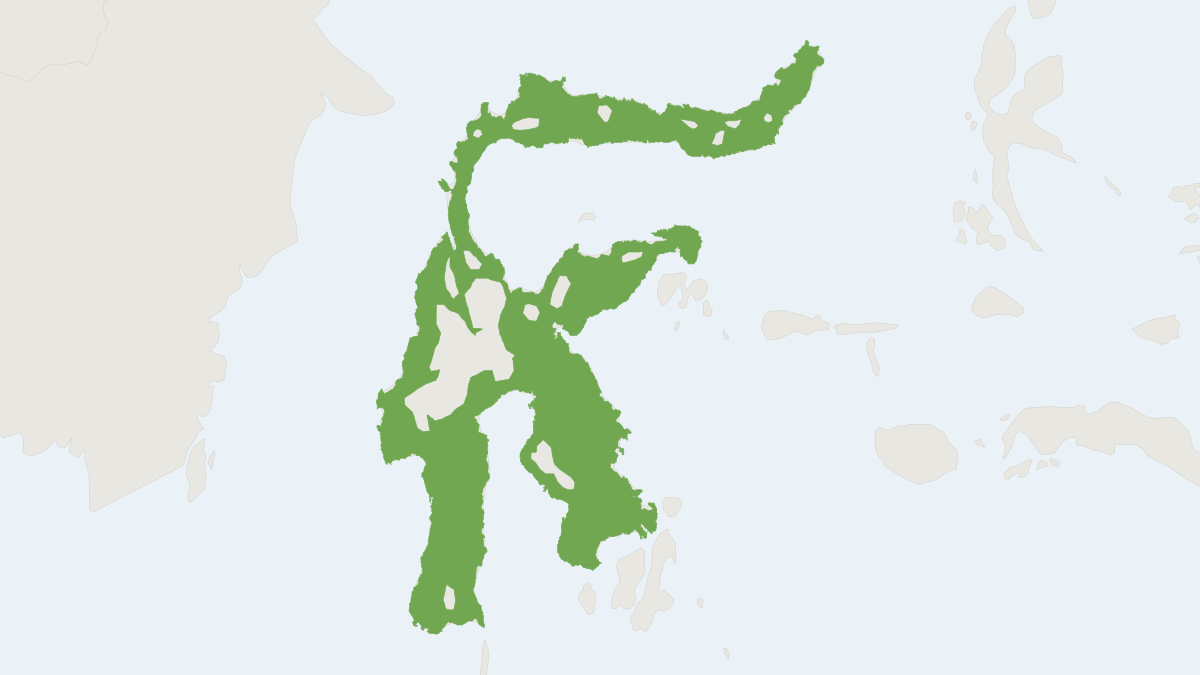 Range map of the Hellwald's Sulawesi Spiny Rat (Maxomys hellwaldii)