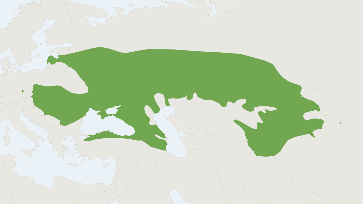 Range map of the Herb Field Mouse (Apodemus uralensis) covering Belarus, Finland and Kazakhstan