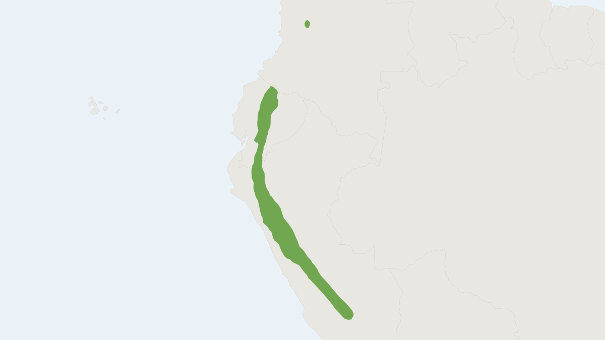 Range map of the Highland Small Rice Rat (Microryzomys altissimus)