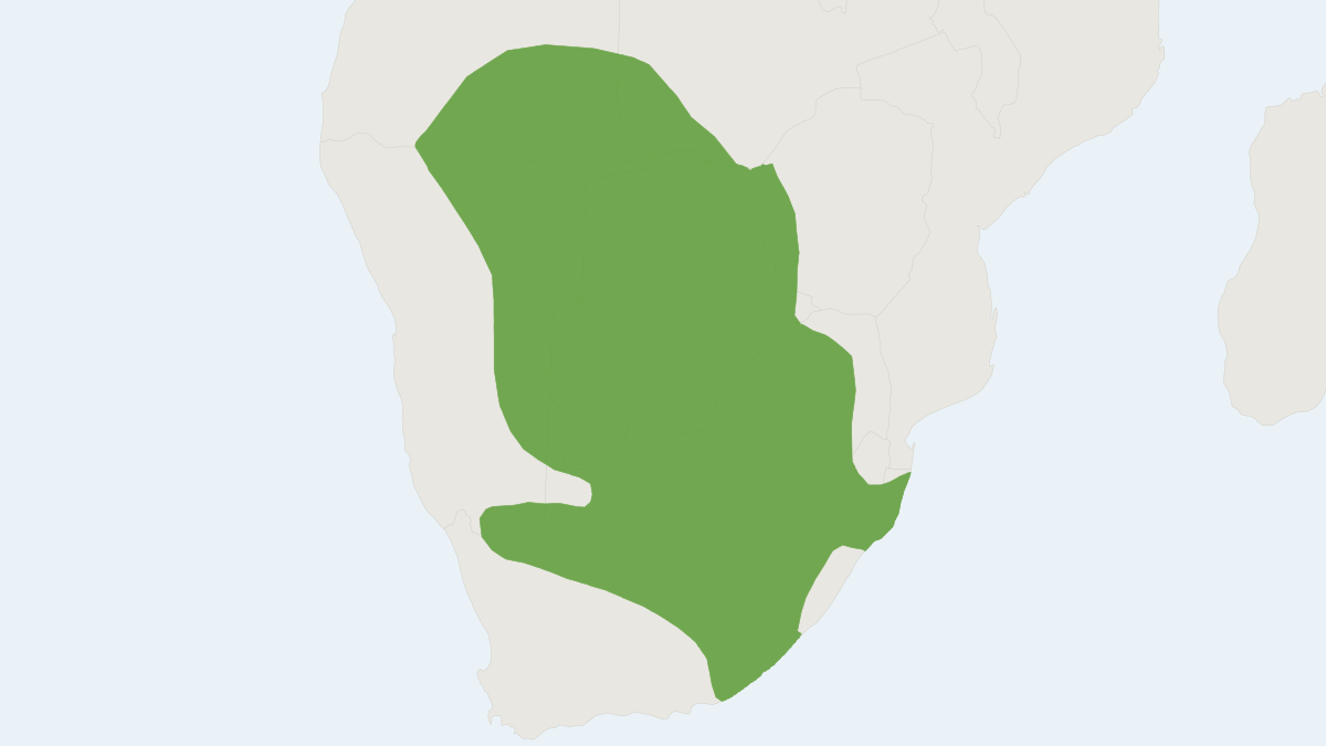 Range map of the Highveld Gerbil (Gerbilliscus brantsii)