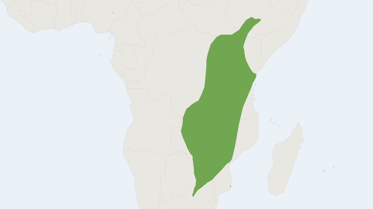 Range map of the Hildebrandt's Horseshoe Bat (Rhinolophus hildebrandtii)