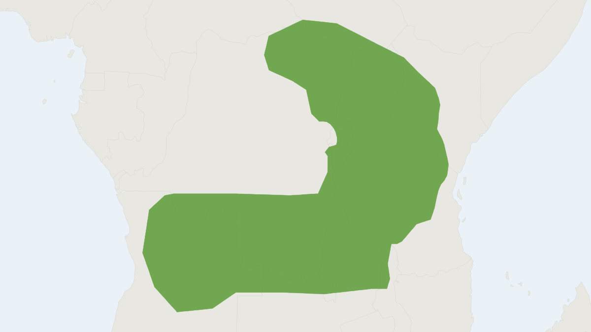 Range map of the Hildegarde's Broad-headed Mouse (Zelotomys hildegardeae)