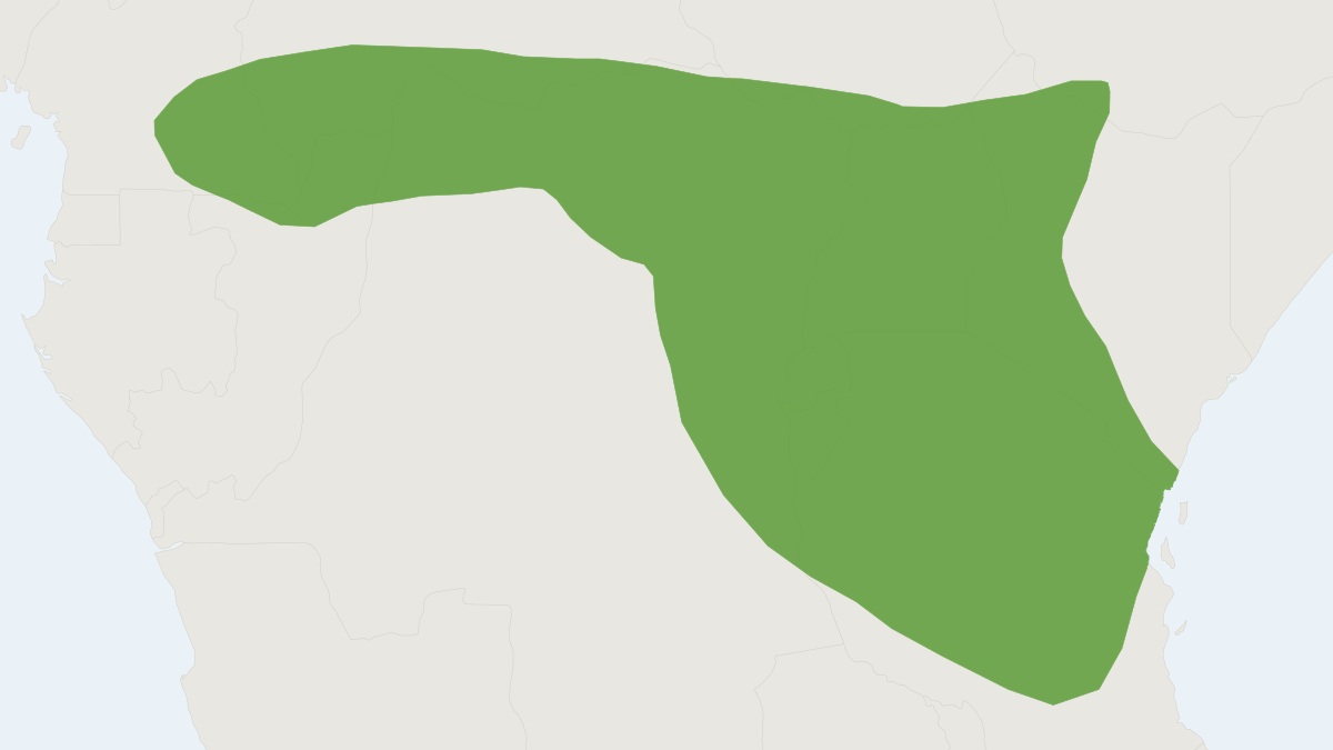 Range map of the Hildegarde's Shrew (Crocidura hildegardeae)