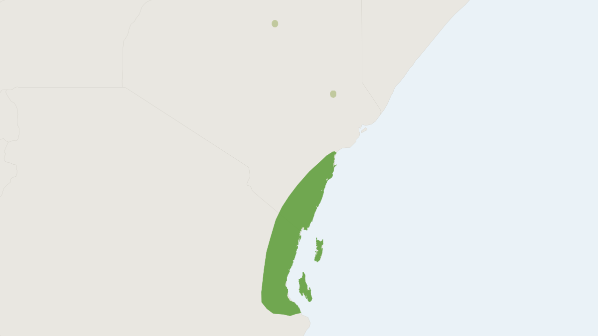 Range map of the Hildegarde's Tomb Bat (Taphozous hildegardeae)
