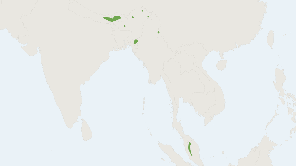 Range map of the Himalayan Mole (Euroscaptor micrura)