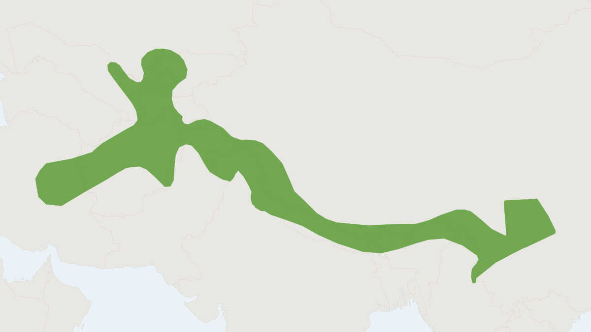 Range map of the Himalayan Rat (Rattus pyctoris)